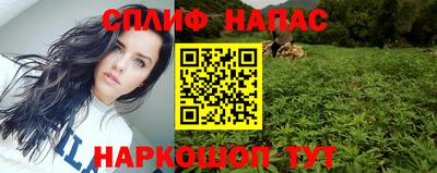 стаф Заводоуковск