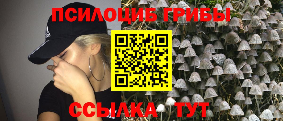 Галлюциногенные грибы мухоморы Ленинск-Кузнецкий