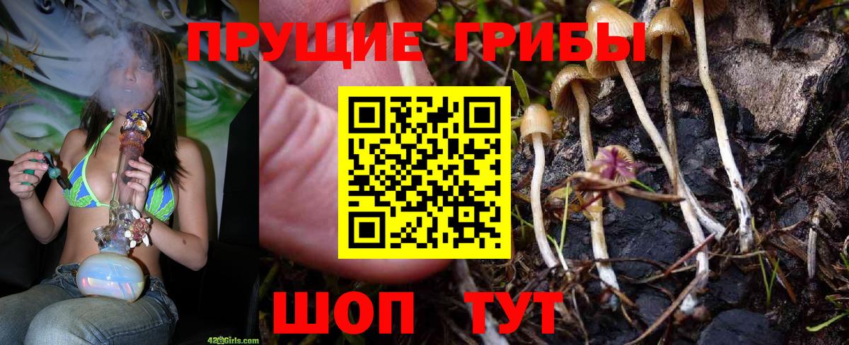 Ленинск-Кузнецкий  Галлюциногенные грибы прущие грибы  Вход с VPN  Псилоцибиновые грибы GOLDEN TEACHER 